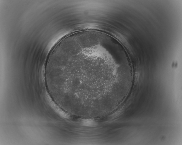 X0000111450798200907131328
