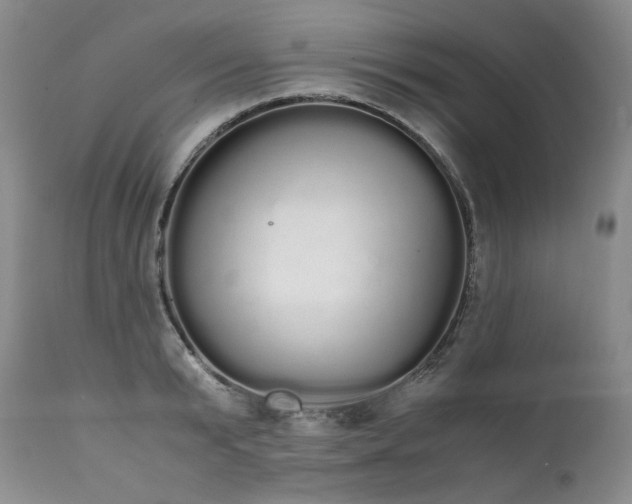X0000111450799200907131328