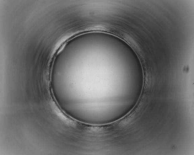 X0000111450800200907131328