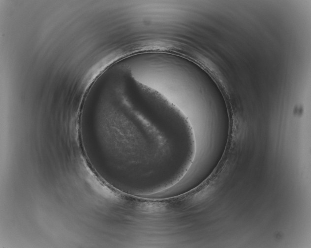 X0000111450802200907131328