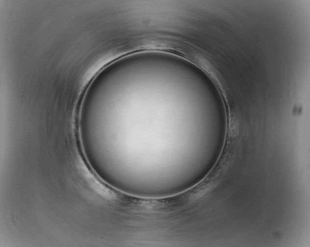 X0000111450803200907131327