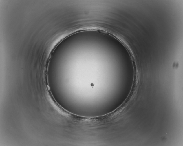 X0000111450805200907131327
