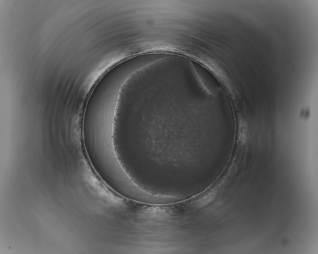 X0000111450806200907131327