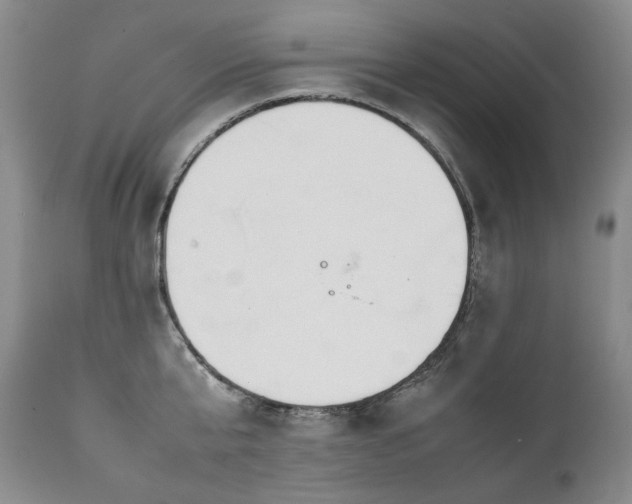 X0000111450807200907131327