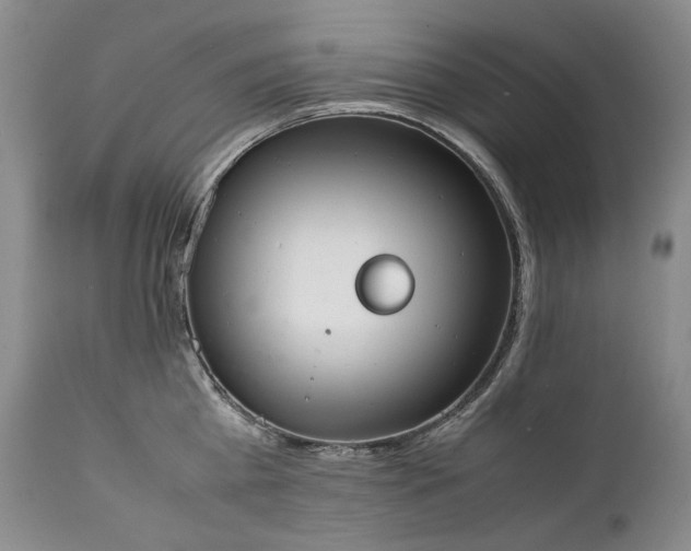 X0000111450809200907131327
