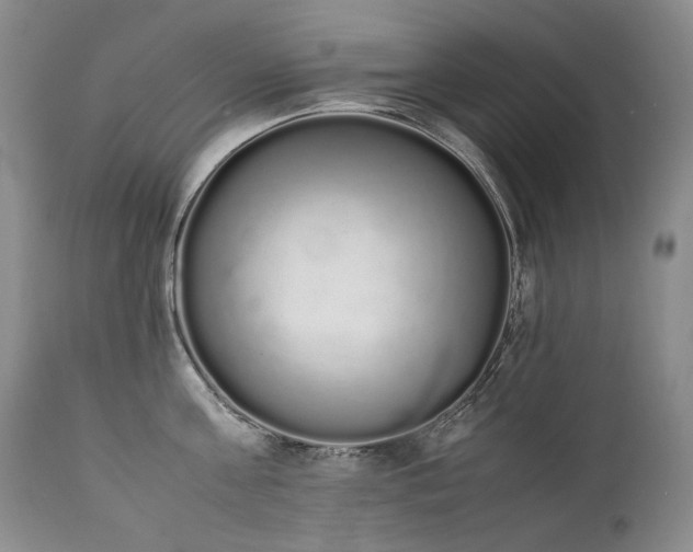 X0000111450811200907131327