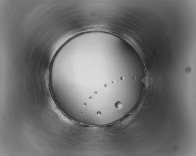 X0000111450812200907131327