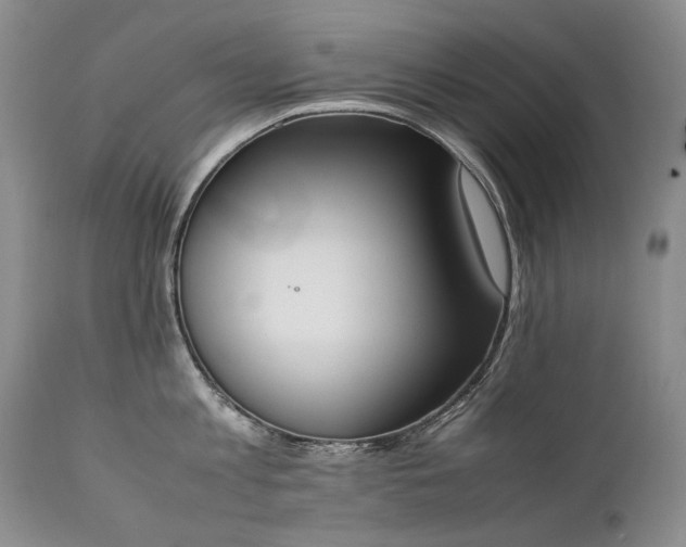X0000111450813200907131327