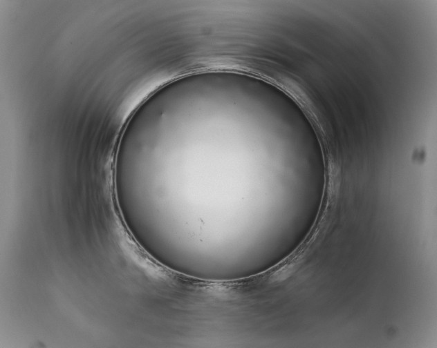 X0000111450814200907131327