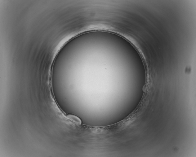 X0000111450815200907131327