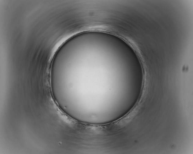 X0000111450816200907131327