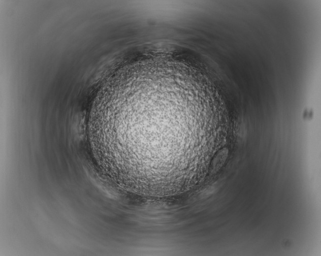 X0000111450818200907131327