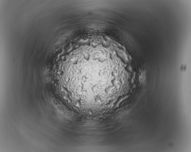 X0000111450819200907131327