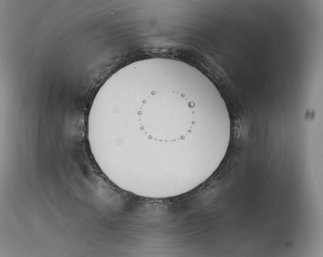 X0000111450820200907131327