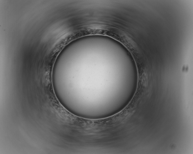 X0000111450821200907131327