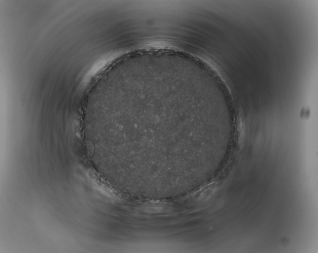 X0000111450823200907131327
