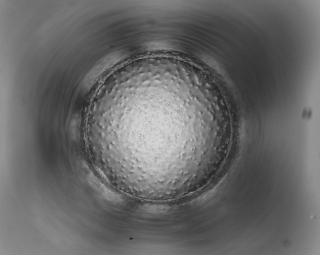 X0000111450825200907131327