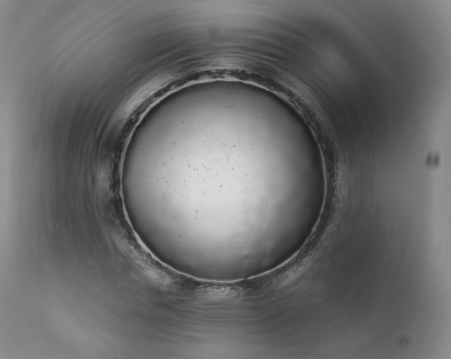X0000111450826200907131327