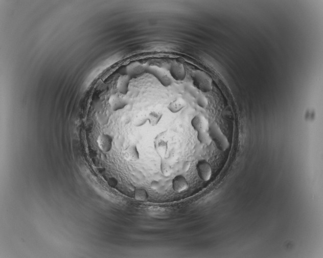 X0000111450827200907131327