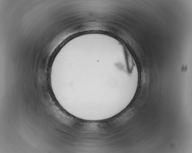 X0000111450828200907131327