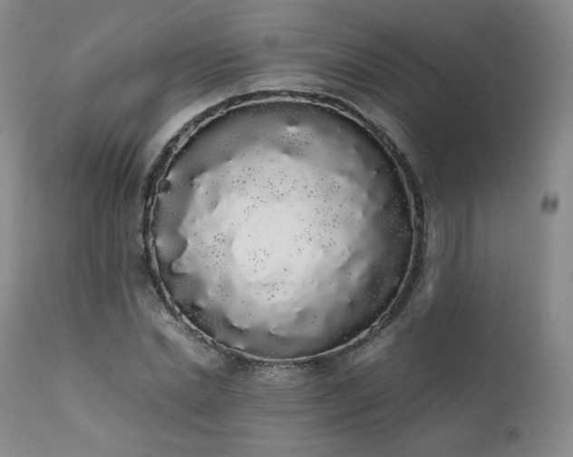 X0000111450830200907131327