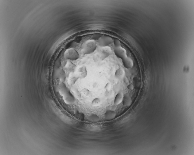 X0000111450831200907131327