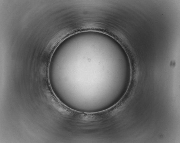 X0000111450833200907131327
