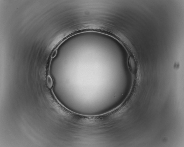 X0000111450834200907131327