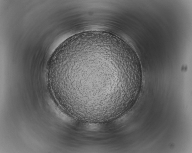 X0000111450835200907131327