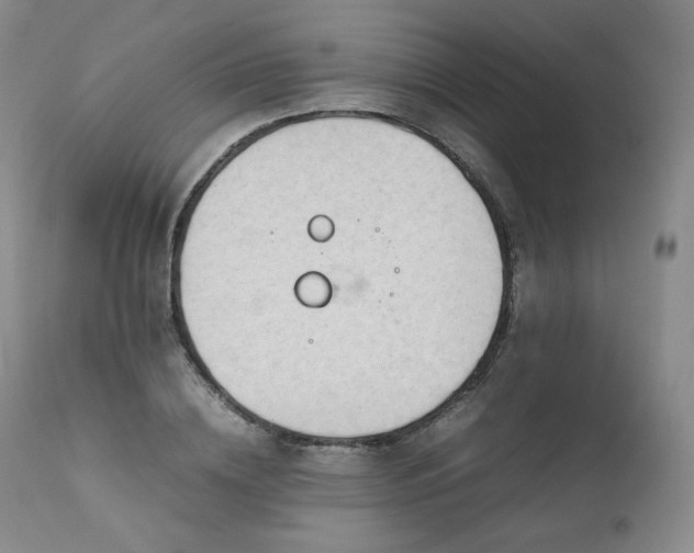 X0000111450836200907131327