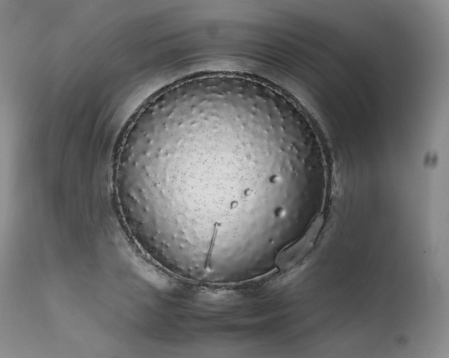 X0000111450837200907131327