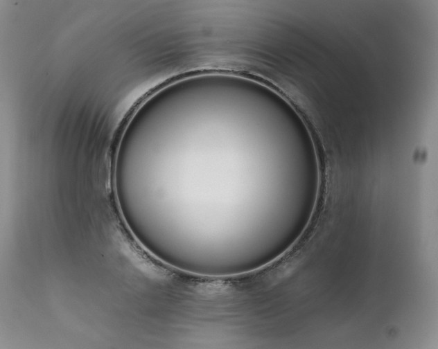 X0000111450838200907131327
