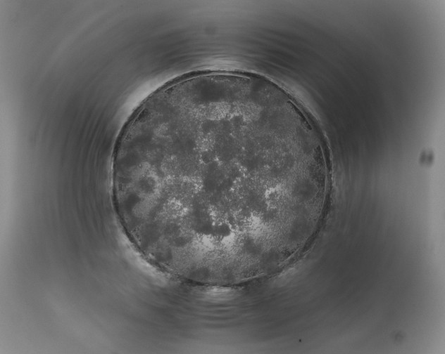 X0000111450839200907131327
