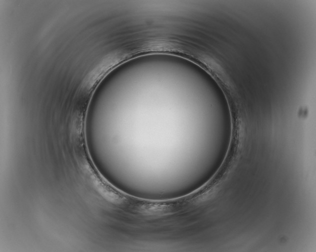 X0000111450841200907131327