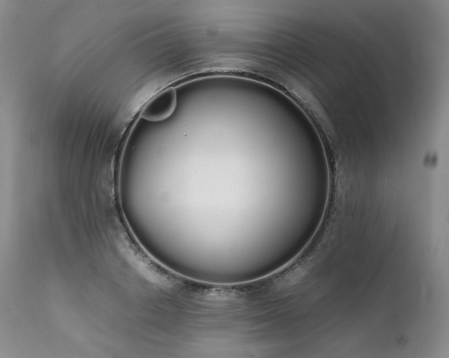 X0000111450842200907131327