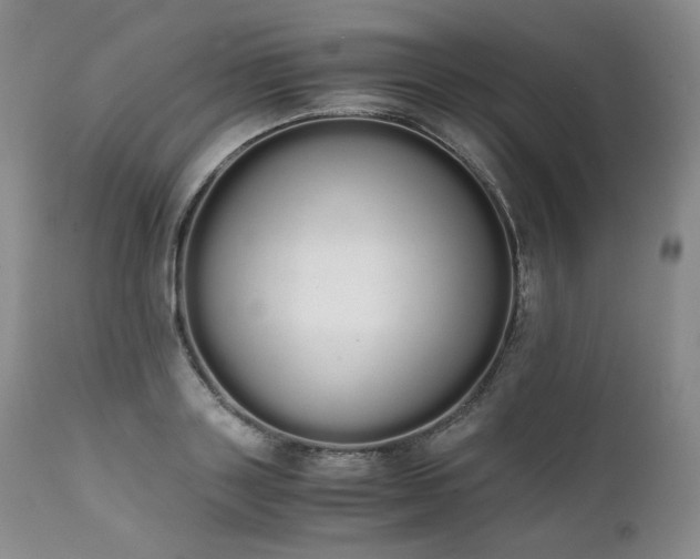 X0000111450843200907131327