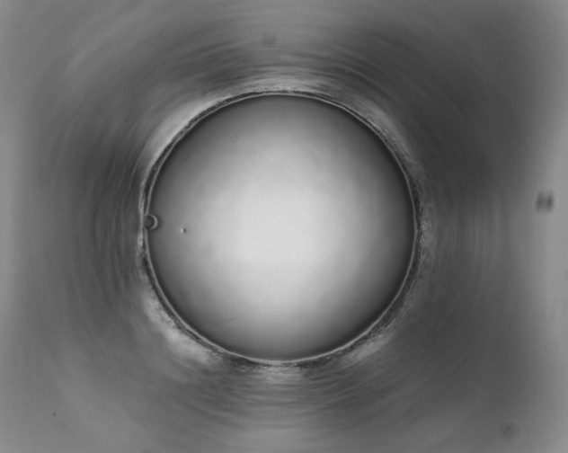 X0000111450844200907131327