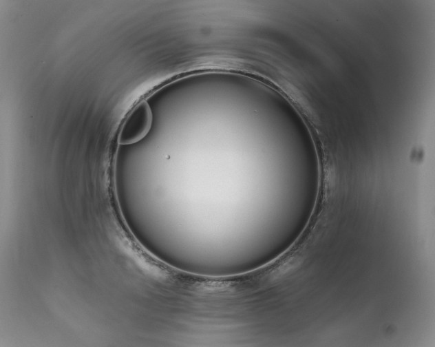 X0000111450846200907131327