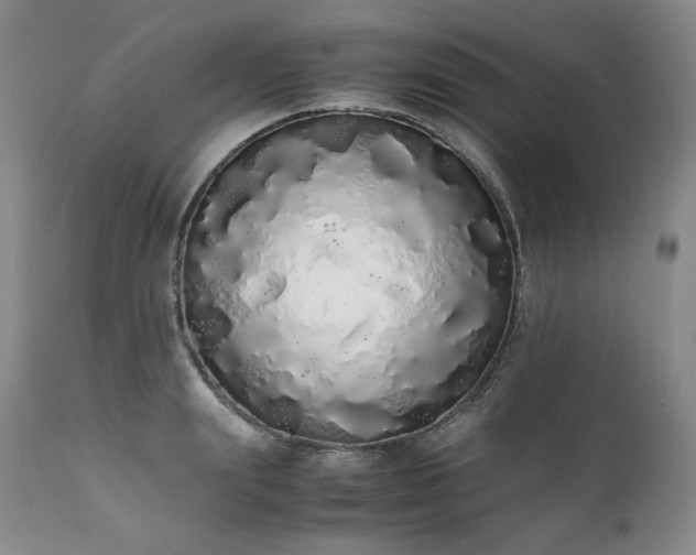 X0000111450847200907131327