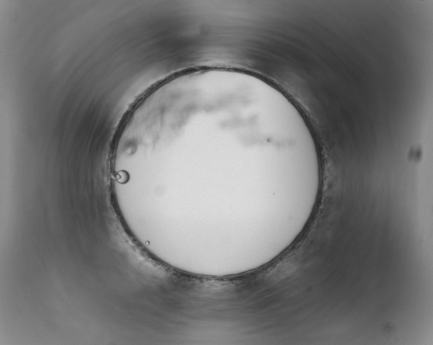 X0000111450848200907131327