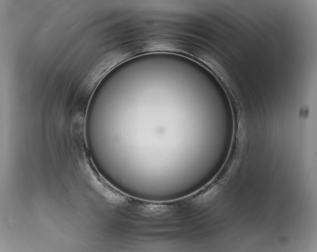 X0000111450849200907131327
