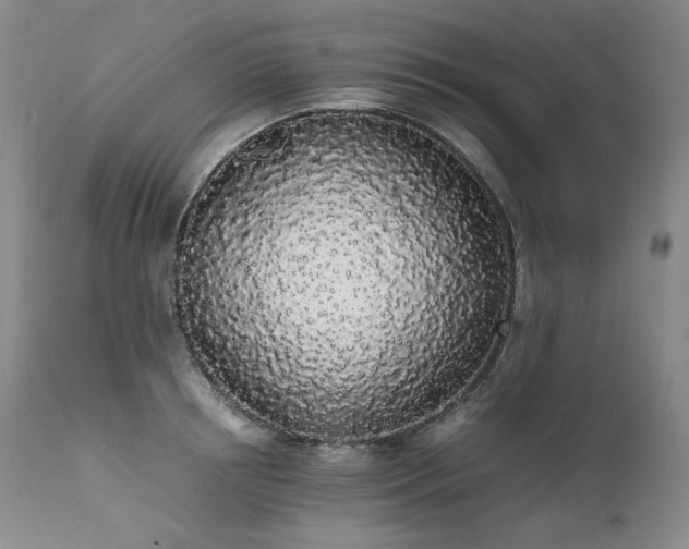 X0000111450850200907131327