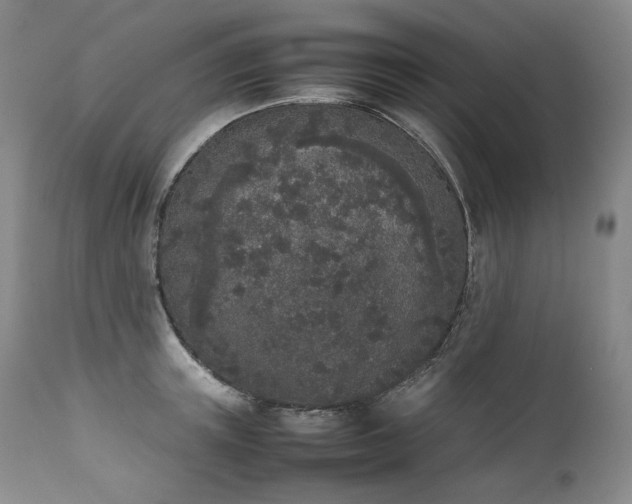 X0000111450851200907131327
