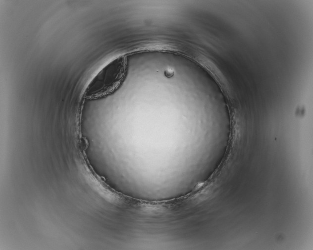 X0000111450852200907131327