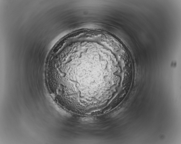 X0000111450853200907131327