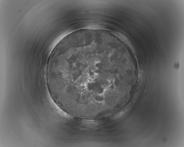 X0000111450855200907131327