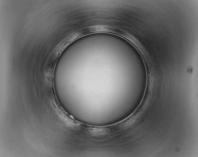 X0000111450857200907131327