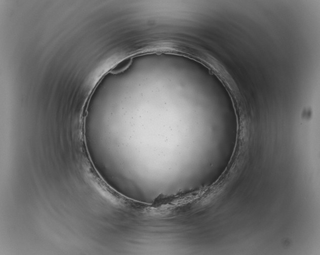 X0000111450858200907131327