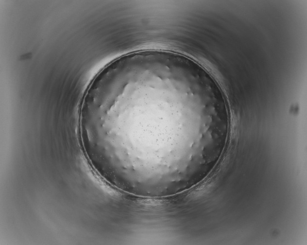 X0000111450862200907131327