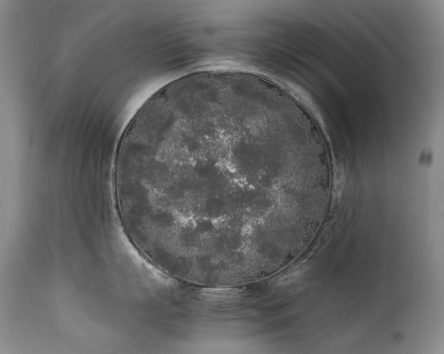 X0000111450863200907131327